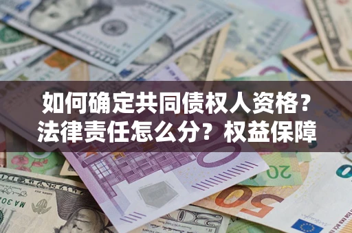 北京如何确定共同债权人资格？法律责任怎么分？权益保障技巧揭秘！