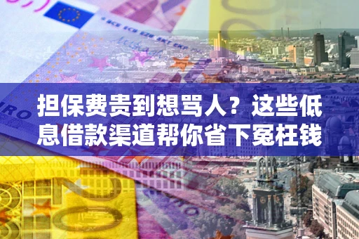 北京担保费贵到想骂人？这些低息借款渠道帮你省下冤枉钱
