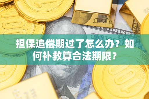 北京担保追偿期过了怎么办？如何补救算合法期限？