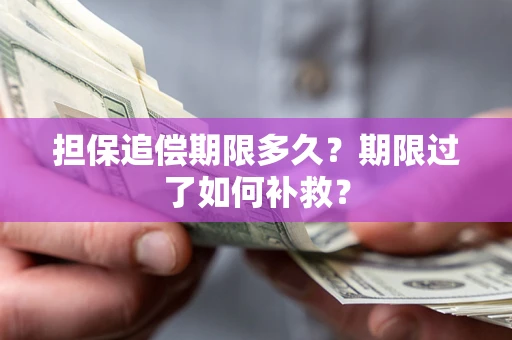 北京担保追偿期限多久？期限过了如何补救？