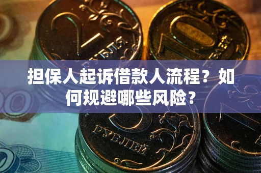 北京担保人起诉借款人流程？如何规避哪些风险？