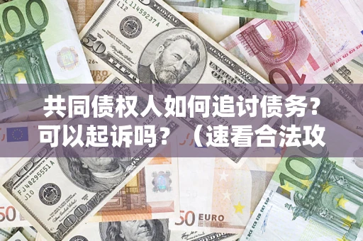 北京共同债权人如何追讨债务？可以起诉吗？（速看合法攻略）