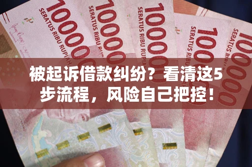 北京被起诉借款纠纷？看清这5步流程，风险自己把控！