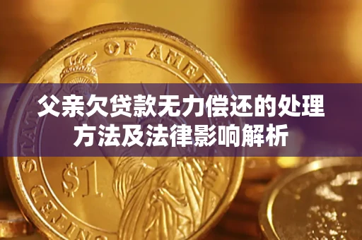 北京父亲欠贷款无力偿还的处理方法及法律影响解析